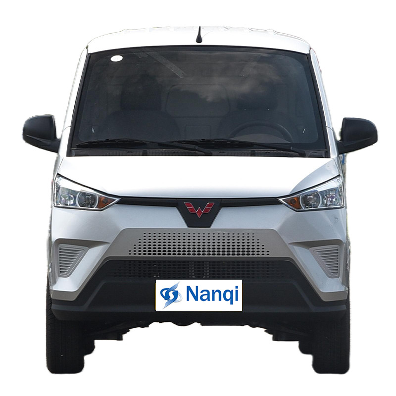 Wuling EV50 Pure Electric Wuling EV Van 90Km/H 5 Door 2 Seater