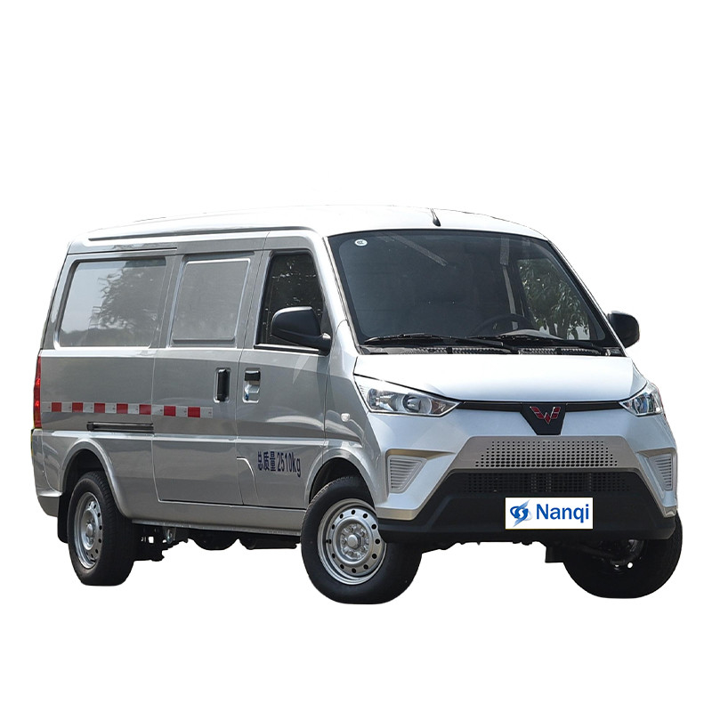 Wuling EV50 Pure Electric Wuling EV Van 90Km/H 5 Door 2 Seater